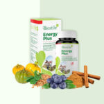 energy plus