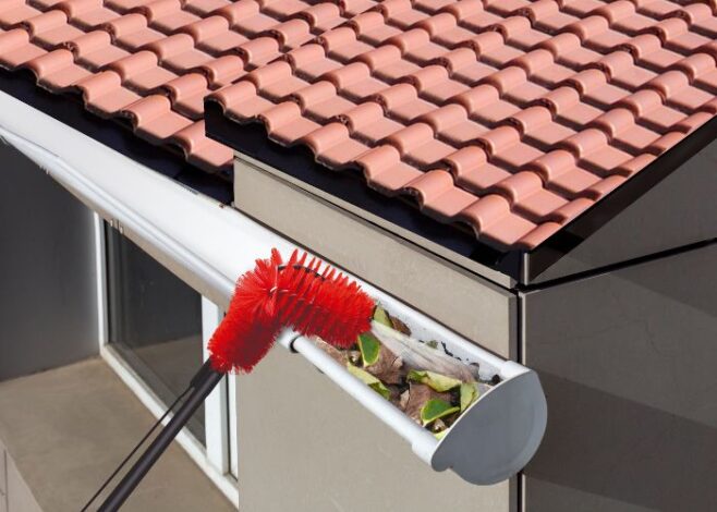 Starlyf telescopic hydrocleaner cetka za oluke 658x470