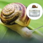 Krema za lice s puževom sluzi Celltone