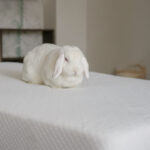 dreamy madrac 9 1000x1000