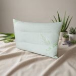 envato labs image edit aloe vera 12