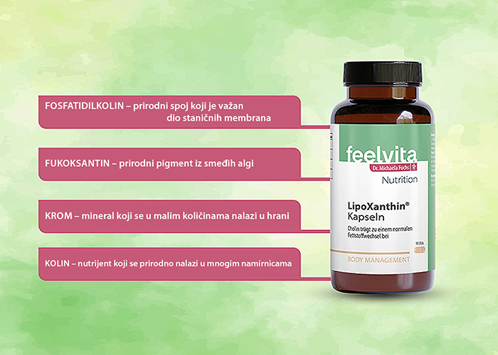 bctv feelvita lipoxanthin 700x500 4