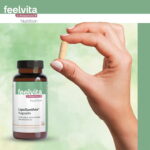 feelvita lipoxanthin 1 1