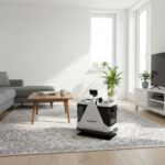 Hausberg usisavač za dubinsko pranje